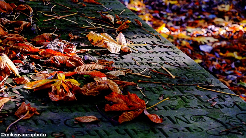 Autum leaves scattered on a tombstone in the graveyard of Howarth, West Yorkshire
