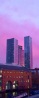 A deep pink dusk gathers over the Deansgate Towers in Manchester.